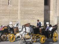 Sevilla - Andalucia Horse & Buggy Ride Around Cathedral (Oct 2006)